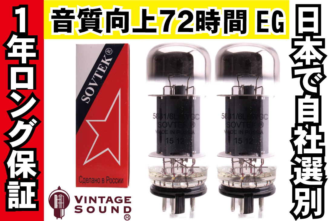 5881 Sovtek 2�ܥޥå� ������PX29