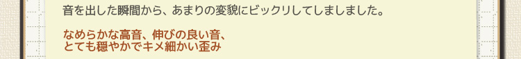 音を出した瞬間から、あまりの変貌にビックリしてしましました。なめらかな高音、伸びの良い音、とても穏やかでキメ細かい歪み