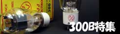 300B�ý�