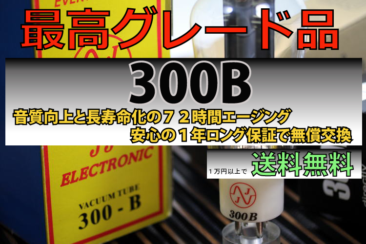 ������300B
